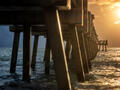 Light Between the Pilings