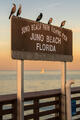 Welcome to Juno