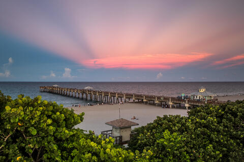 Warm morning sunlight breaks low over the Juno Beach shoreline, wrapping the pier and surrounding palms in a rich golden glow.
