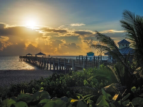 Golden sunrise light filters through tropical palms and lush coastal growth along the shoreline near Juno Beach Pier.
