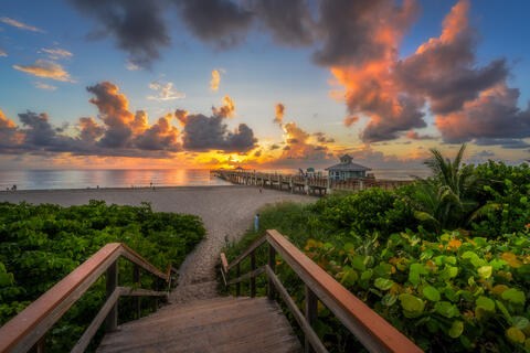 A wooden boardwalk framed by sea grape trees leads toward the glowing Juno Beach Pier and the open Atlantic beyond at daybreak.
