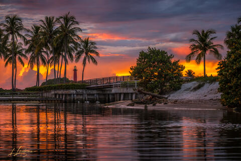 Jupiter Lighthouse at sunset with palm reflections.