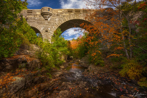 Under Acadia