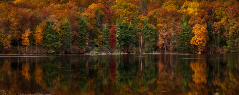 Autumn's Mirror