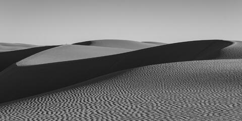 Dune Wave
