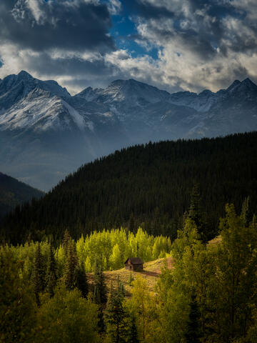 Nestled In Nature