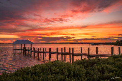 Dock's Color Symphony