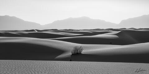 Dunes, White Sands, New Mexico, Black and White, Panoramic