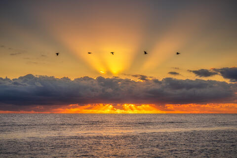 Soaring into Sunrise