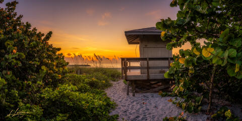 Lifeguard hut framed by dunes at sunrise in Florida.