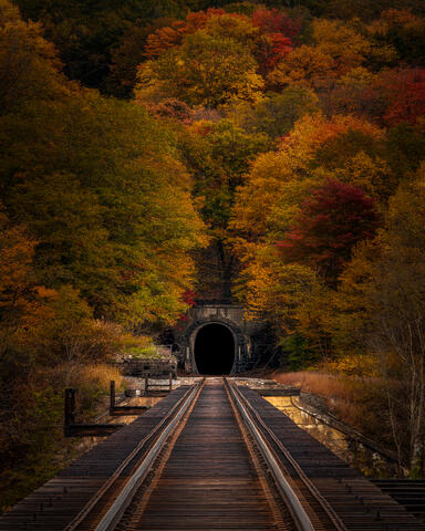 Th Autumnal Tunnel