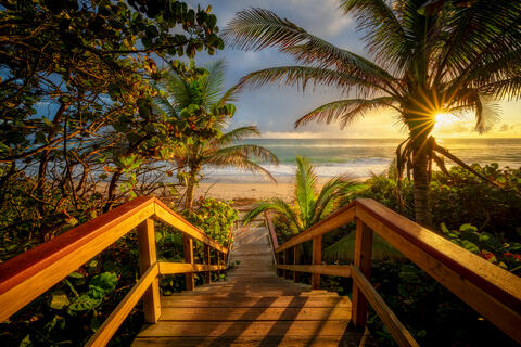 TropicalAwakening