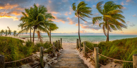 Tropical Passage