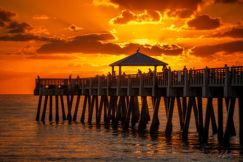 Tides & Time: Seasons of the Pier