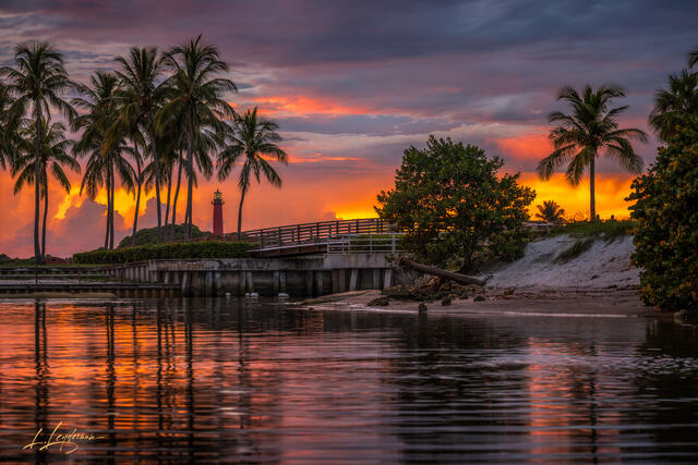 Jupiter Lighthouse at sunset with palm reflections.