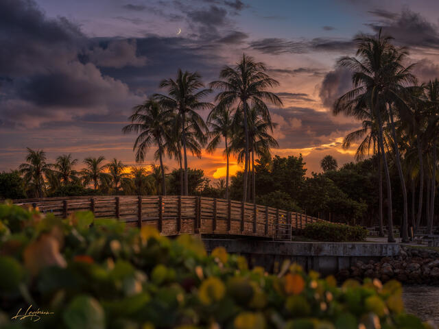 A panoramic view of a wooden bridge leading into twilight, framed by palm trees under a glowing crescent moon. The sky shifts from golden sunset to deepening du