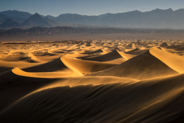 Dance Of The Dunes