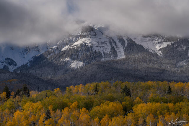 Snowy Fall Mountain Top in a Cloud