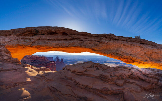 Mesa's Morning Glory