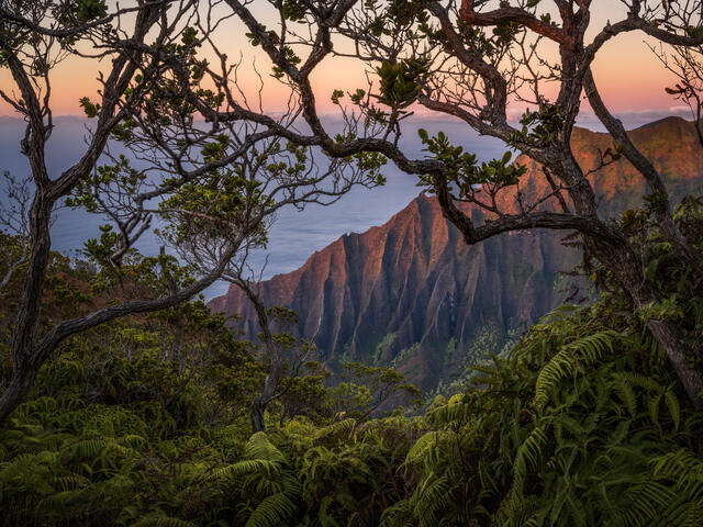 Napali Window