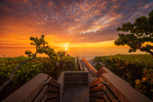 A golden sunrise over the Atlantic Ocean seen from a wooden boardwalk lined with sea grape plants in Jupiter, Florida, capturing a peaceful and dreamy morning l