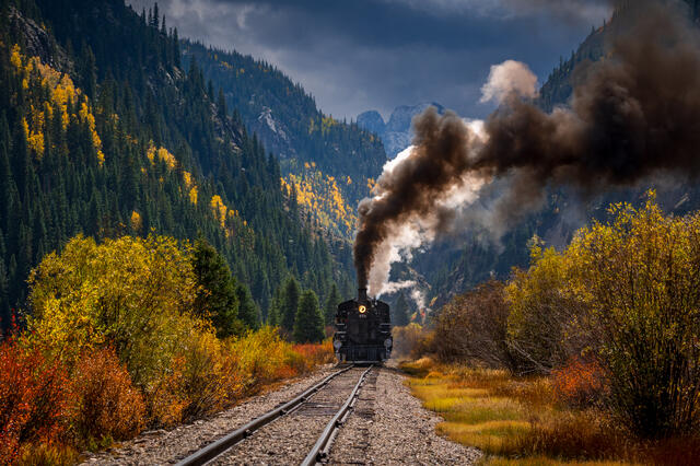 The Autumn Express