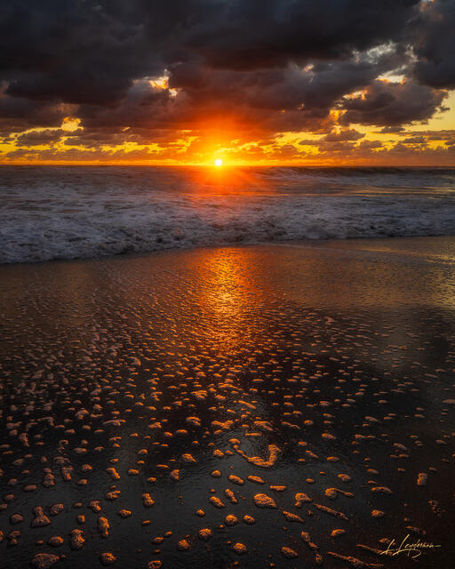 A breathtaking sunrise over the Atlantic Ocean with glowing golden light reflecting across wet sand and sea foam. Dark clouds frame the sun as it rises, casting