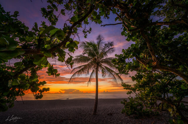 Framed by Nature