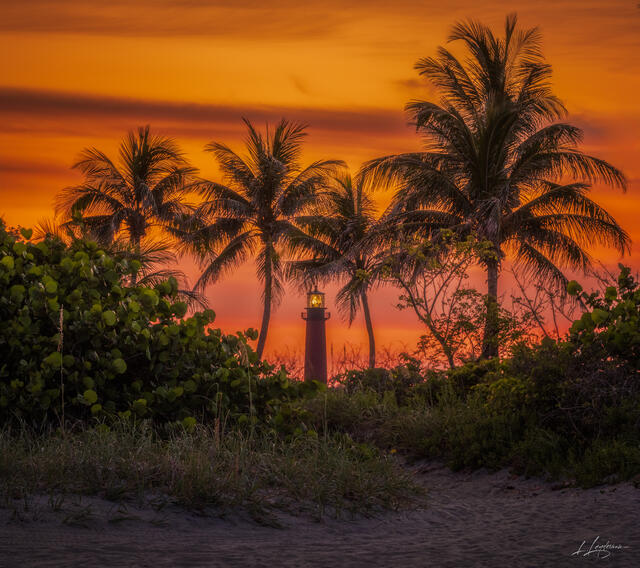 Beacon Between Palms