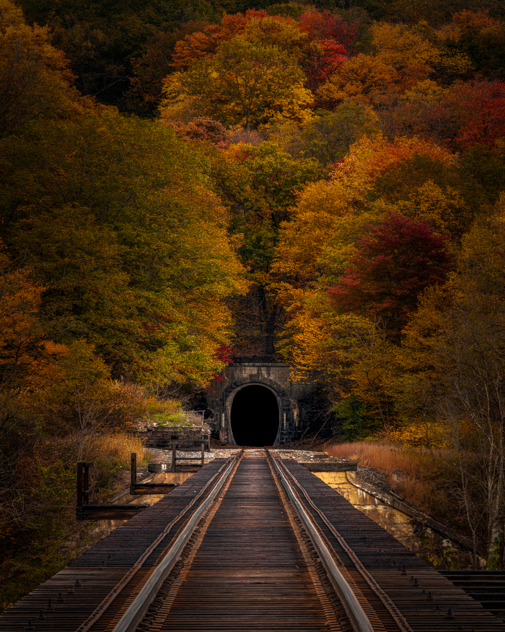 Under a canopy of fiery foliage, the tracks lead to a mysterious tunnel, an alluring passageway to a realm where autumn reigns...