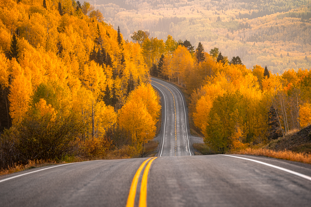Southwest Colorado is a true wonderland during the autumn season. As the leaves of the aspen trees turn from green to golden...